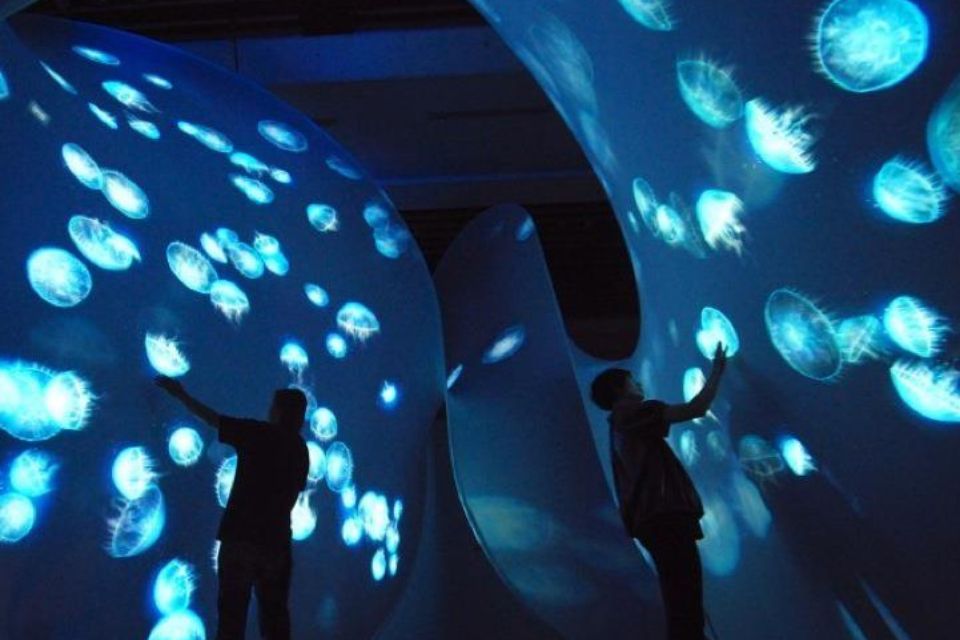 干细胞展厅设计:美工材质与多媒体联动,让生命科技可触可感|2026干细胞企业科普馆展厅设计公司 思威图数字